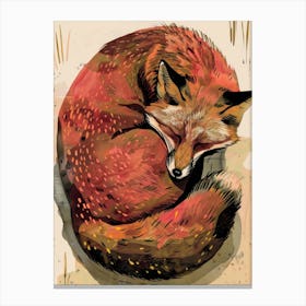 Red Fox 11 Canvas Print