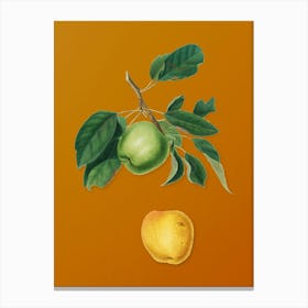 Vintage Apple Botanical on Sunset Orange n.0942 Canvas Print