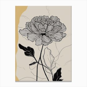 Line Art Marigold Flowers Illustration Neutral 2 Canvas Print