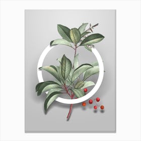 Vintage Greek Strawberry Tree Minimalist Floral Geometric Circle on Soft Gray n.0181 Canvas Print