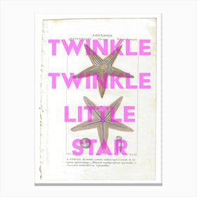 Twinkle Twinkle Little Star Vintage Starfish Canvas Print