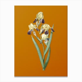 Vintage Elder Scented Iris Botanical on Sunset Orange n.0434 Canvas Print