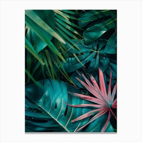 Tropical Leaves 3 Canvas Print