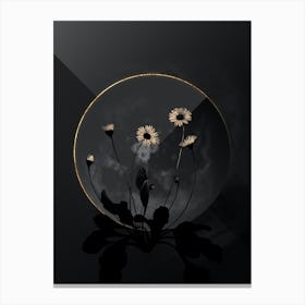 Shadowy Vintage Daisy Flowers Botanical in Black and Gold n.0005 Canvas Print