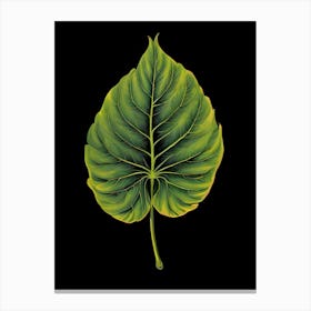 Hibiscus Leaf Canvas Print