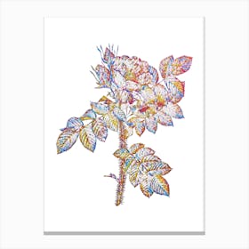 Stained Glass Kamtschatka Rose Mosaic Botanical Illustration on White Canvas Print