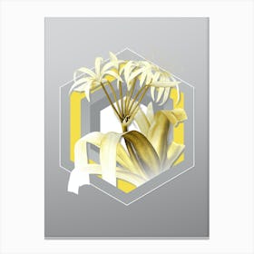 Botanical Crinum Erubescens in Yellow and Gray Gradient n.146 Canvas Print