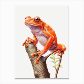 Red Tree Frog Botanical Realistic 2 Canvas Print