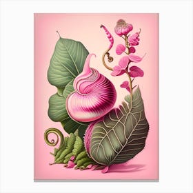 Snail With Pink Background 1 Botanical Canvas Print