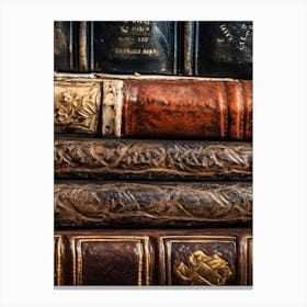 Old Books Photo Canvas Print