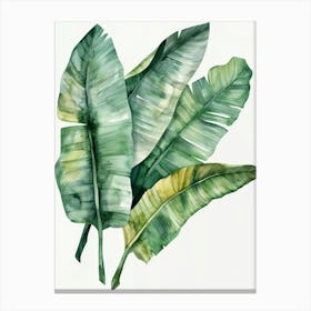 Banana Leaves 33 Canvas Print