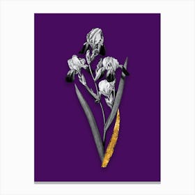 Vintage Elder Scented Iris Black and White Gold Leaf Floral Art on Deep Violet n.0965 Canvas Print