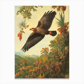 California Condor Haeckel Style Vintage Illustration Bird Canvas Print