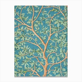 Cork Oak 2 tree Vintage Botanical Canvas Print