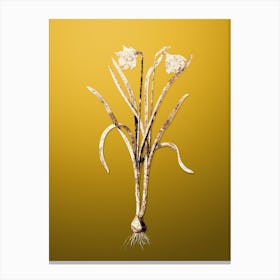 Gold Botanical Narcissus Candidissimus on Mango Yellow n.3696 Canvas Print