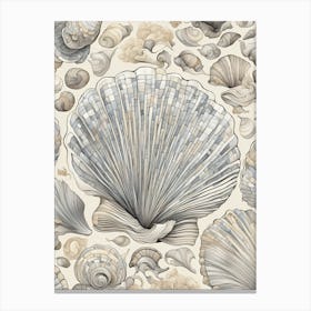 Shells Canvas Print