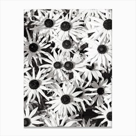 Black And White Daisies Canvas Print