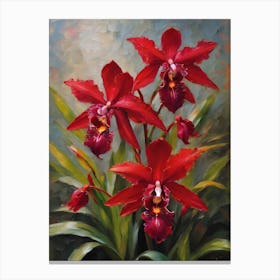 Red Phragmipedium Orchids Oil Painting 1 Canvas Print