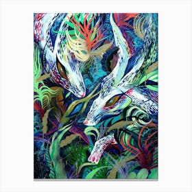 Hares in the tropics Canvas Print