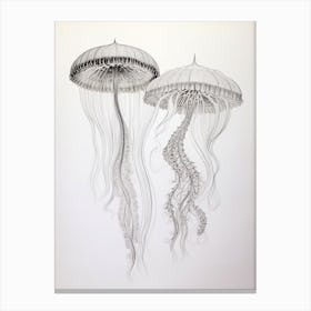 Mauve Stinger Jellyfish Drawing 4 Canvas Print