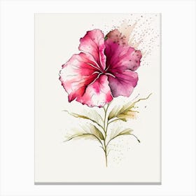 Hibiscus Herb Minimalist Watercolour 3 Canvas Print