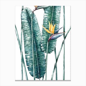 Tropical Banana Leaves In Watercolor Canvas Print