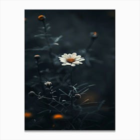 Dark Flowers 1 Canvas Print