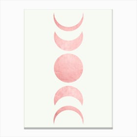 Pink moons Canvas Print