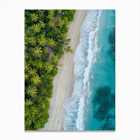 Aerial View Of A Tropical Beach 22 Canvas Print