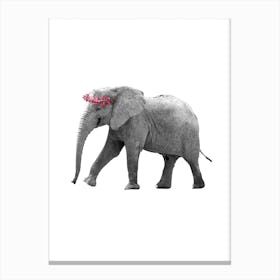 Dressy Elephant Canvas Print