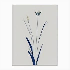 Pickerel Weed Wildflower Simplicity Canvas Print