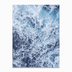 Oceanic Canvas Print
