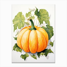 Carnival Squash Pumpkin Watercolour Illustration 4 Canvas Print