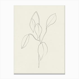 Vie Simple No 28 Canvas Print