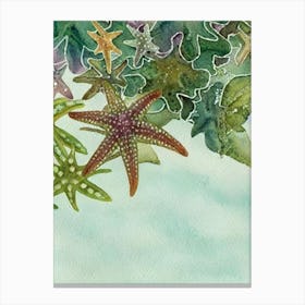 Sea Star (Starfish) Storybook Watercolour Canvas Print