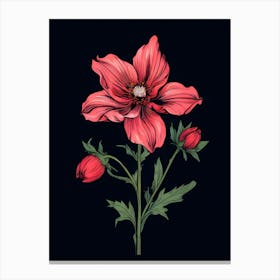 Red Anemone Flower 1 Canvas Print