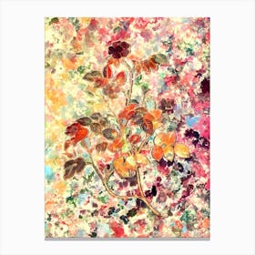 Impressionist Sweetbriar Rose Botanical Painting in Blush Pink and Gold n.0042 Canvas Print