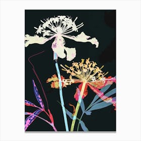 Neon Flowers On Black Queen Annes Lace 1 Canvas Print
