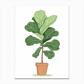 Fig Tree 5 Canvas Print