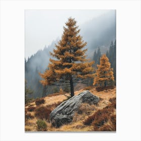 Autumn Trees In The Mountains Canvas Print