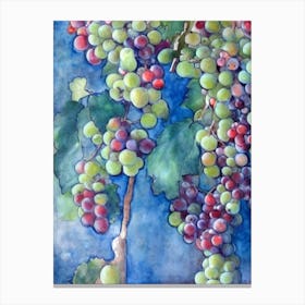 Grapes 2 Classic Fruit Canvas Print