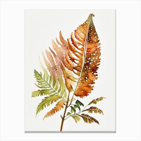 Cinnamon Fern 1 Watercolour Canvas Print