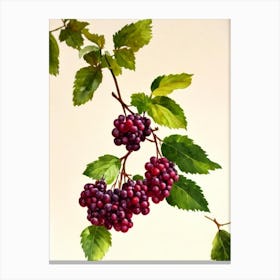 Boysenberry Italian Watercolour fruit Canvas Print