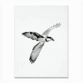 Osprey B&W Pencil Drawing 2 Bird Canvas Print