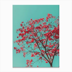 Red Tree Against Blue Sky 8 Canvas Print