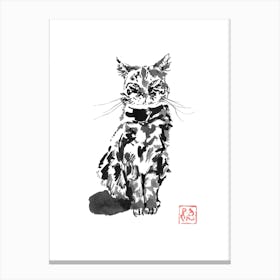 Suspicious Cat Canvas Print