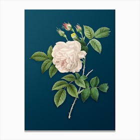 Vintage Rosa Indica Botanical Art on Teal Blue n.0446 Canvas Print
