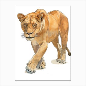 Barbary Lioness On The Prowl Clipart 3 Canvas Print