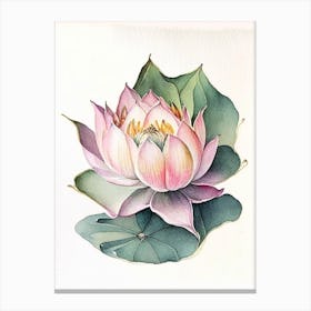 Sacred Lotus Watercolour Ink Pencil 1 Canvas Print