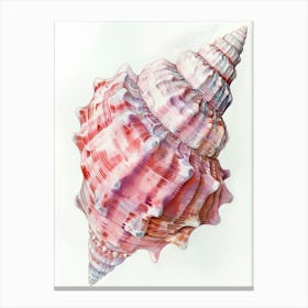 Pink Conch Shell 2 Canvas Print
